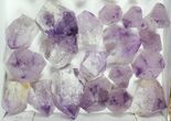 Lot: - Amethyst Points - Pieces #105350-2